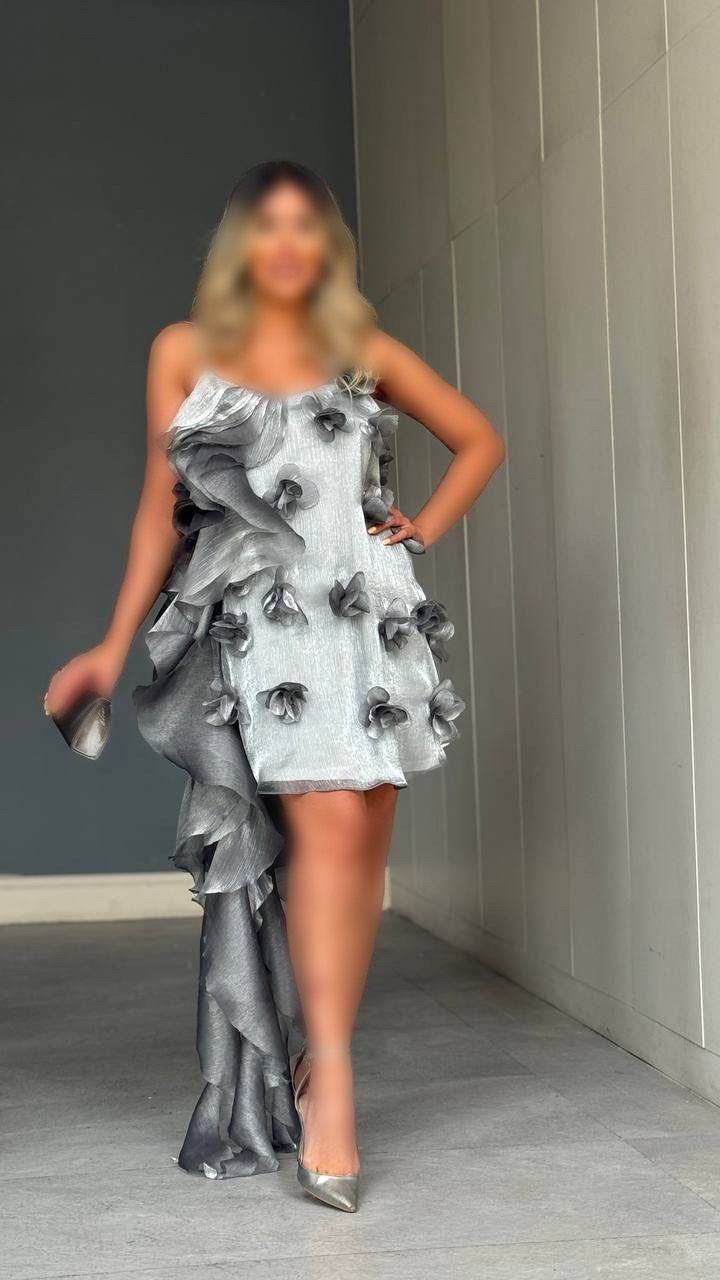 سارافون آنا طوسی